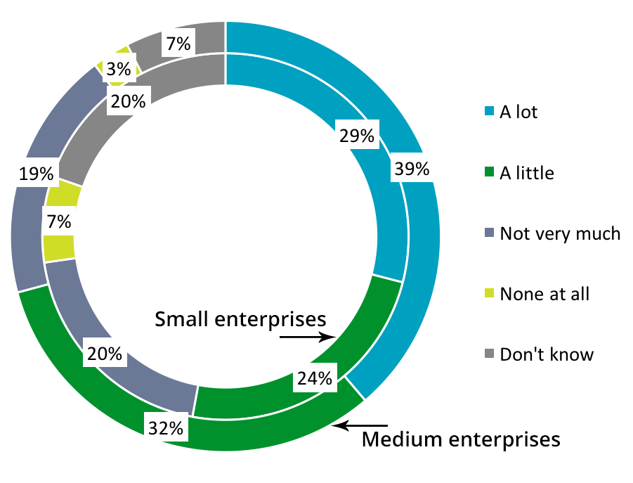 Small vs medium enterprises graph