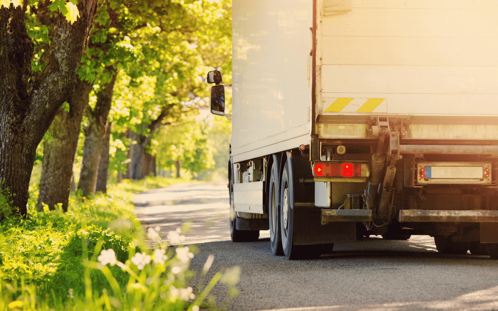 Lorry driving down tree-lined street