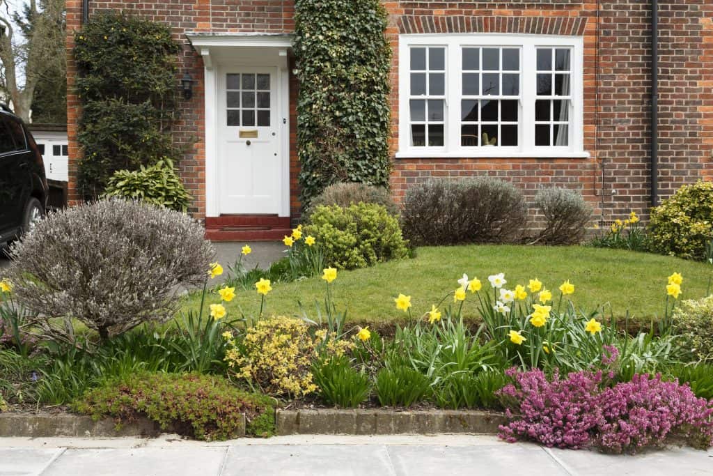 Front garden of house