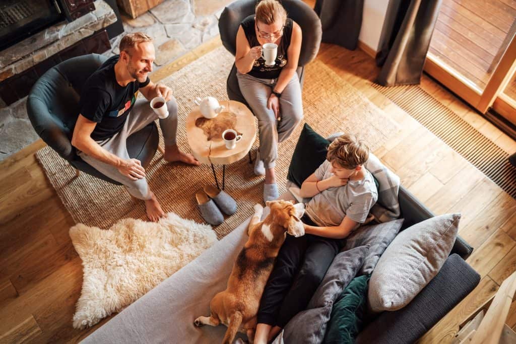 Family relaxing at home